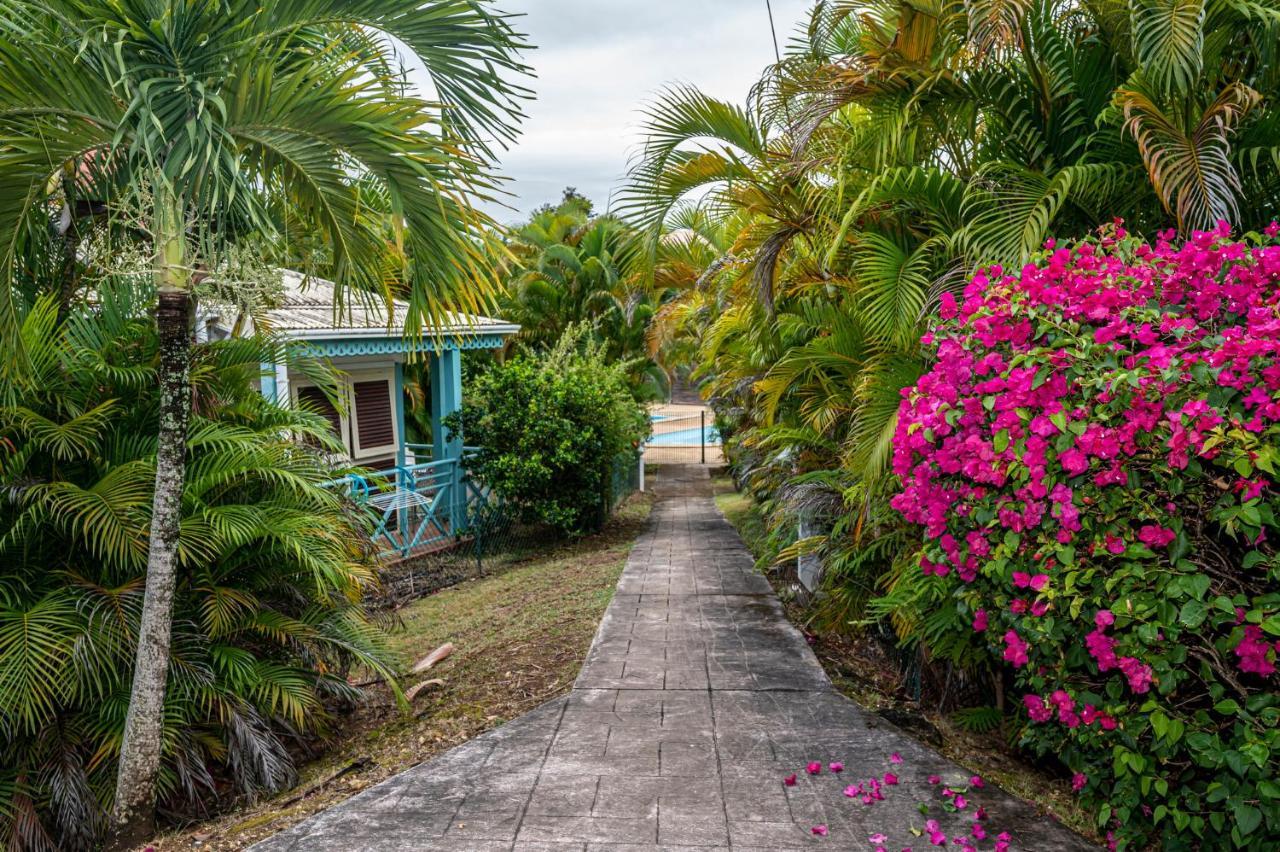 Reve De Palmier Apartment Le Gosier  Luaran gambar