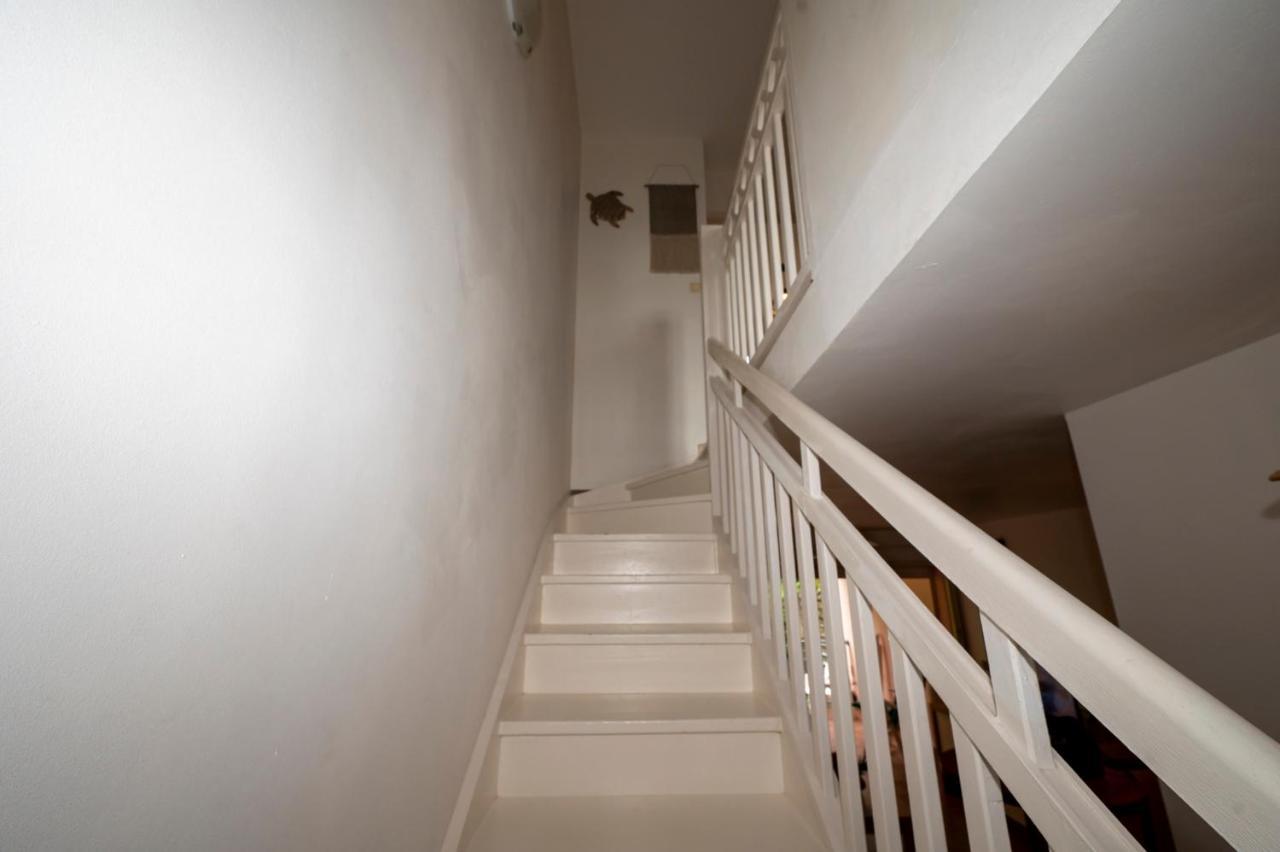 Reve De Palmier Apartment Le Gosier  Luaran gambar